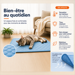 tapis rafraîchissant chien et chat