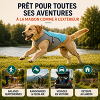 Harnais gilet rafraîchissant réfléchissant