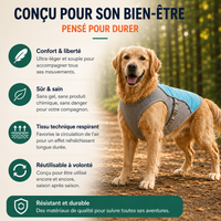 Harnais gilet rafraîchissant réfléchissant