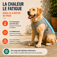 Harnais gilet rafraîchissant réfléchissant