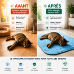 tapis rafraîchissant chien et chat